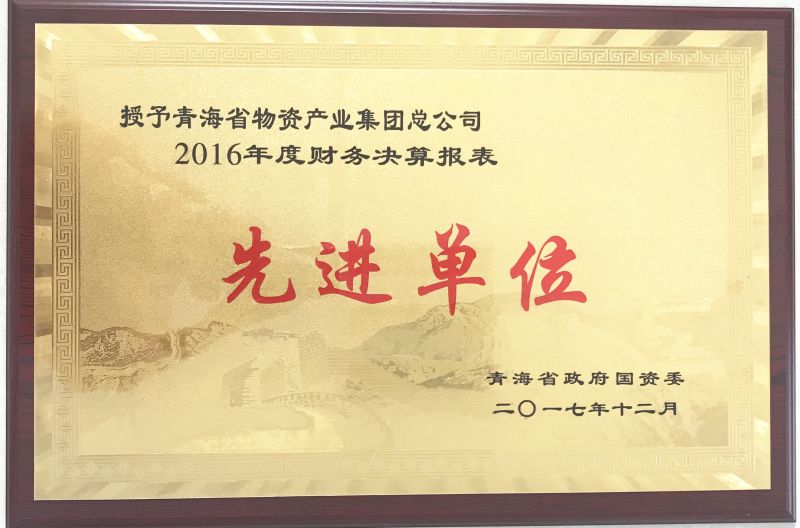 2016年度財務(wù)決算表先進(jìn)單位