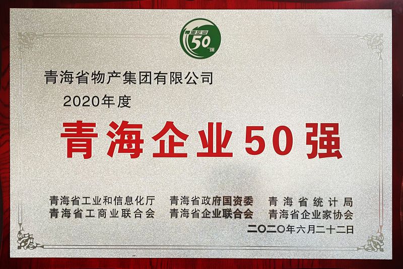 2020年度青海企業(yè)50強