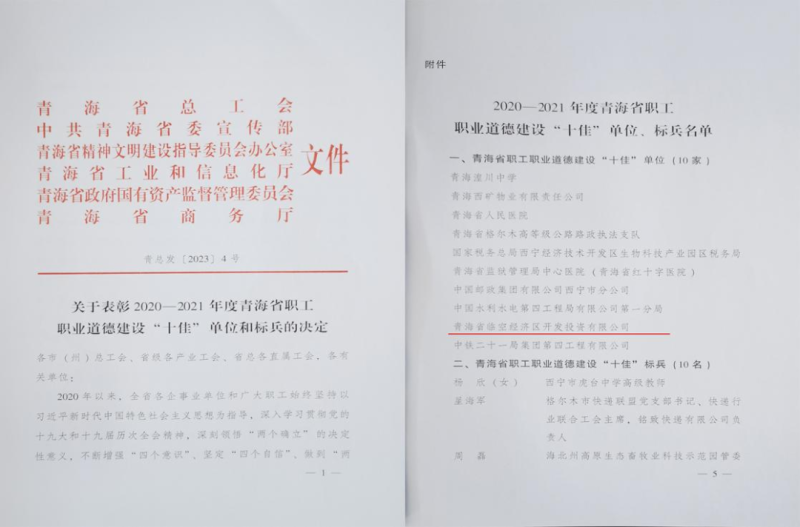 青海省臨空經(jīng)濟區開(kāi)發(fā)投資有限公司榮獲青海省職工職業(yè)道德建設“十佳”單位