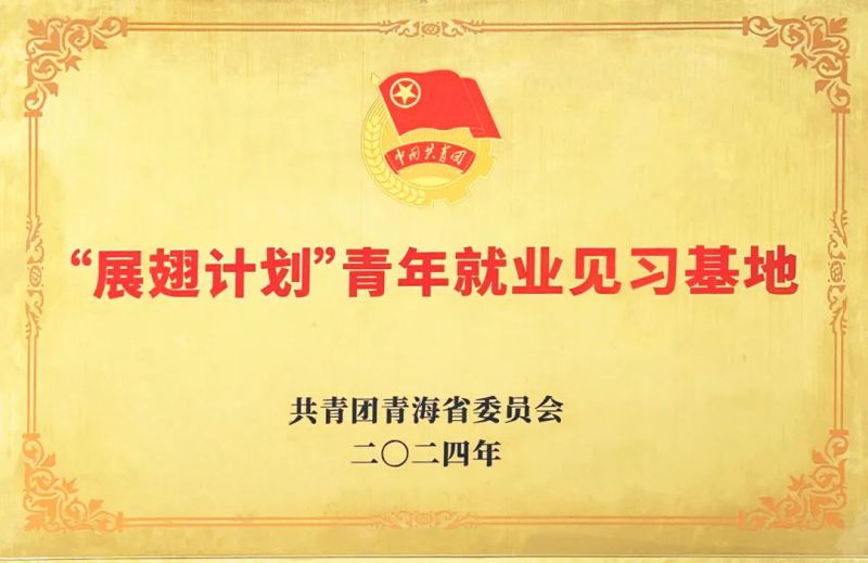 物產(chǎn)工投公司被團省委授予“展翅計劃”首批青年就業(yè)見(jiàn)習基地