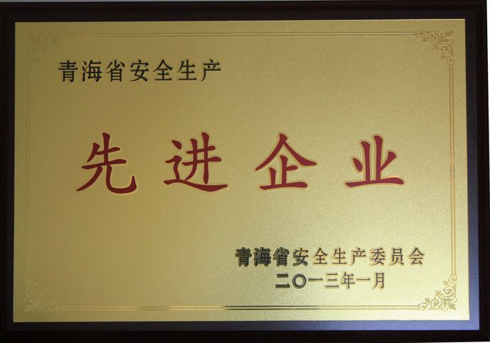 青海物產(chǎn)榮獲“2012年度安全生產(chǎn)先進(jìn)企業(yè)”榮譽(yù)稱(chēng)號