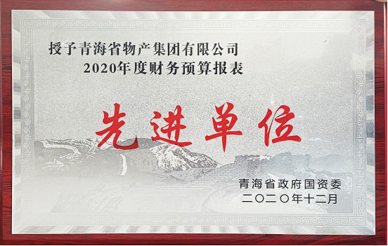 物產(chǎn)集團榮獲國資委2020年度財務(wù)預算報表工作先進(jìn)單位和省財政廳2019年度全省